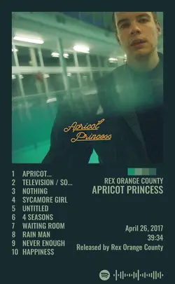 Rex Orange County - Apricot Princess.jpg